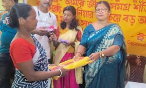 Cloth Distribution